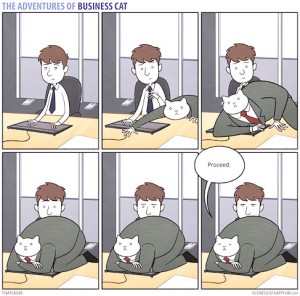 adventures-of-business-cat-comics-tom-fonder-16__880