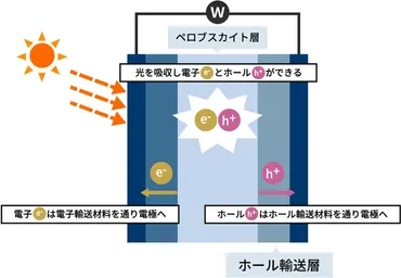 ペロブスカイト