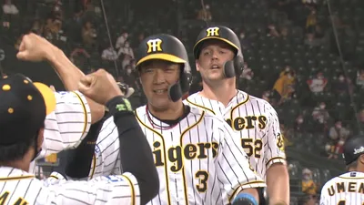 阪神タイガースファン：プロ野球で最も支持される球団