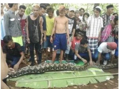 【閲覧注意】人間が巨大ヘビに丸呑みされる！！インドネシアの男性が被害に‥！！（※動画あり）