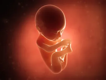6ヶ月目の胎動がおしりに響くのは普通！！？気になる胎動の種類と頻度について解説