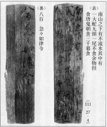 奈良時代の天然痘、その恐ろしさと人々の対策とは?聖武天皇の時代を襲った疫病の恐怖!!