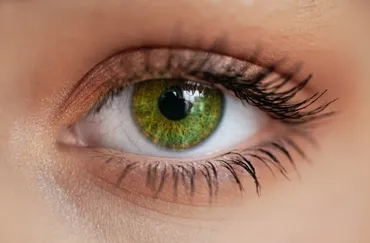 グリーンアイ：最も魅力的な目の色？