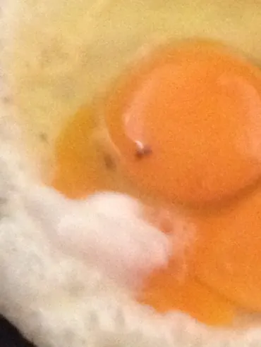 卵の黄身に黒い点が？カビなの？食べれる卵と食べれない卵の解説！ 