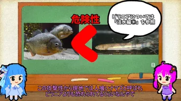 アマゾン川に生息する゛人食いナマズ゛とは⁉ ピラニアより恐れられる魚「カンディル」について解説してみた 