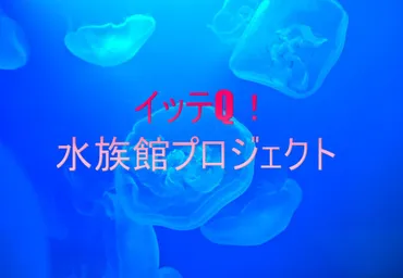 チャンカワイ、4年ぶりの『イッテQ!』水族館プロジェクト復活!?水族館プロジェクト復活とは!!?