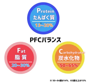 PFCバランスとは？理想的な摂取量を解説 ！生活習慣病の予防にも 