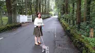 軽井沢散策 : 林真理子 ブログ あれもこれも日記