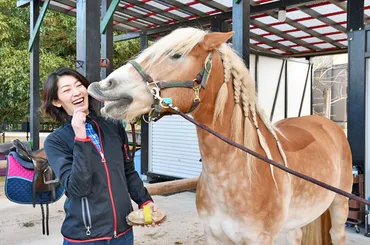移住決めた運命の手綱 芸能と乗馬二刀流 俳優 佐藤藍子さん(45)=香取市在住 【千葉県誕生150年 ミライのちば人】