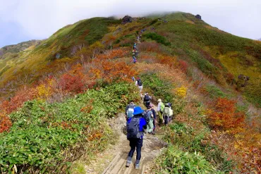谷川岳の絶景紅葉3選!混雑状況とおすすめのアクセス方法