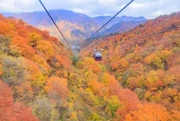 貸切バスで行く!谷川岳の紅葉情報・見頃を紹介
