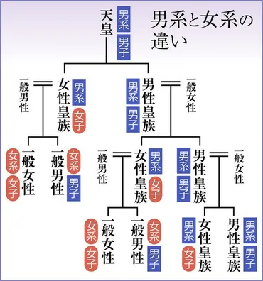 代替わり考 皇位の安定継承>(3) 男系男子限定は明治から:東京新聞 TOKYO Web