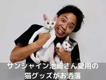 サンシャイン池崎2匹の保護猫が使う猫グッズがおしゃれ