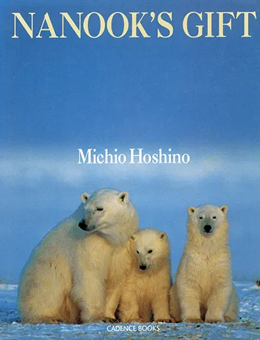 海外版