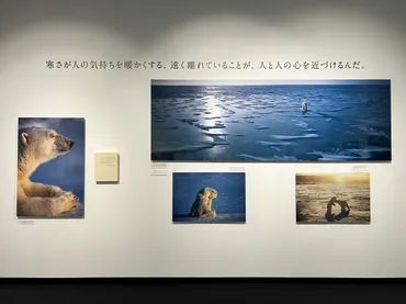 自然と人の関わりを追い続けた星野道夫の写真展 ー 東京都写真美術館