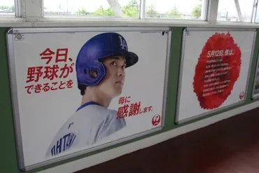 大谷翔平が゛母に感謝を伝えるアイコン゛に! JAL「母の日」広告が花巻エリアに限定公開(クランクイン!トレンド)