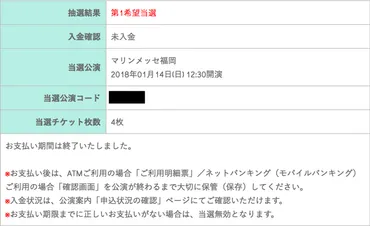 実録・Pay