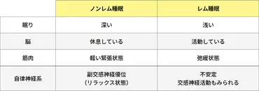 良い睡眠」はメリット満載!睡眠の質を上げるポイントとは?