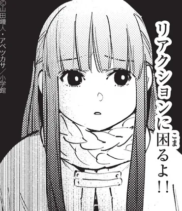 葬送のフリーレン』ゼーリエの魔力の揺らぎとは?フェルンが見破れた理由を徹底解説