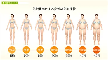 医師監修】~脂肪吸引:体脂肪の特性~