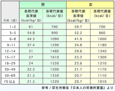 日本健康運動研究所