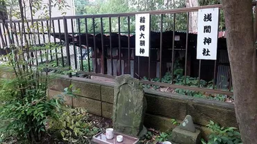 南桜井駅から春日部駅(西金野井香取神社~石川氏屋敷跡~牛島など)