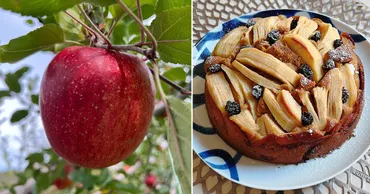 内田恭子さん「子どもたちも大好きな゛りんごのケーキ゛は母から伝わる思い出の味です」
