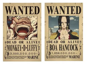 ワンピース ルフィ ハンコック 手配書 懸賞金 キャラクターグッズ ポスター(ONE PIECE)