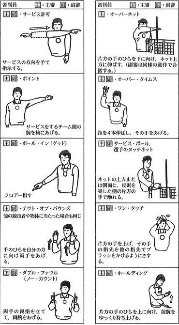 浦安市トリムバレーボール協会