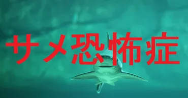 サメ恐怖症】サメが怖い!サメに恐怖する心理や症状、原因、克服法