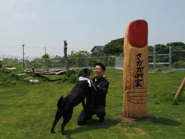 坂上忍の意地「犬猫の保護ハウス゛さかがみ家゛を5年で商売に」