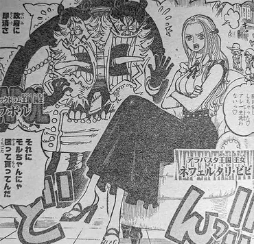 ビビは麦わらの一味10人目の仲間になるのか？ビビ失踪の真相とは！？