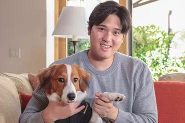 大谷翔平選手の愛犬「デコピン」ってどんな犬？その正体とは！？