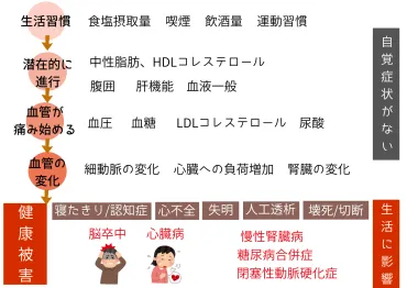 宝塚歌劇団宙組のスターたちの身長は？意外な事実が明らかに！身長順一覧とは！？