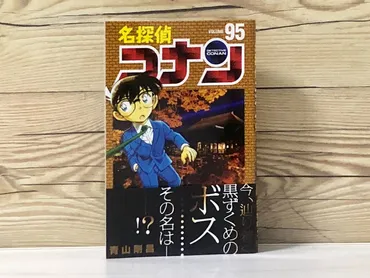 名探偵コナン 黒の組織の謎！ボス『烏丸蓮耶』の正体とは？ついに明かされた黒の組織の真相!!