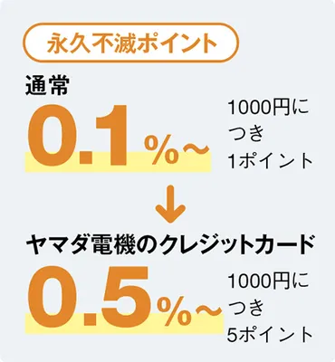 2ページ目)店舗のポイント還元率が落ちない!ビックカメラとヨドバシカメラは電子マネー決済で10%と1%を両取り可能だって知ってた?
