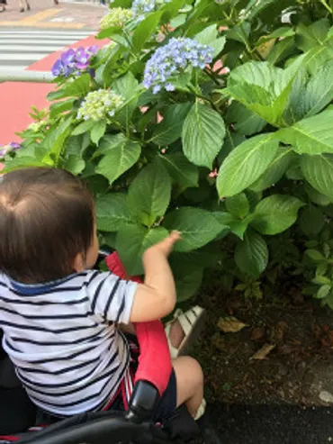 少子化対策に一夫多妻制は有効?