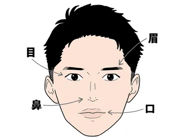 すぐできる!モテる即席占い】眉はコミュ力、口で恋愛傾向…人相でコレがわかる! メンズノンノウェブ