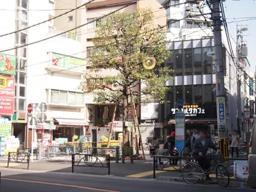 尊い東京の姿: 毅然とした住宅街にも自然が光る、都立大学駅周辺・柿の木坂