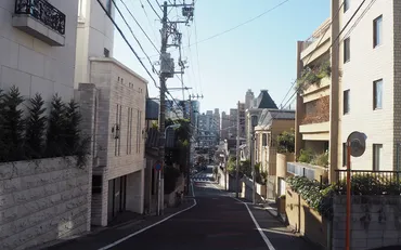 東京・目黒区の高級住宅街〈青葉台〉。代官山と中目黒に囲まれた瀟洒な街