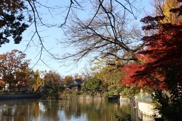 伊勢谷友介に沢尻エリカも! 芸能人が目黒区゛碑文谷゛に住む理由