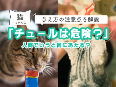 猫にチュールは危険?人間でいうと何にあたる?与え方の注意点を解説