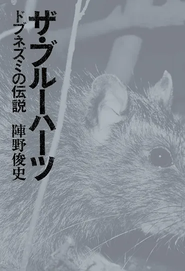 陣野俊史「ザ・ブルーハーツ ドブネズミの伝説」甲本ヒロトと真島昌利の詩に学ぶ、声を奪われた者たちの言葉