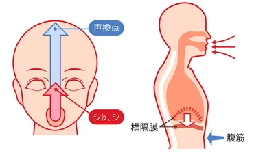 歌が上手くなるボイトレ練習方法⑧音程を外さないコツを解説 – JAMミュージックスクール