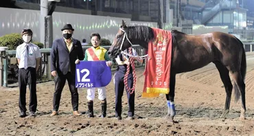 地方競馬】ノブワイルドが「習志野きらっと－」連覇 １番人気に応えて逃げ切り完勝/注目レースプレイバック/レース/デイリースポーツ online