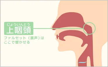 雑味のない綺麗なファルセット（裏声）の出し方4STEPを解説 