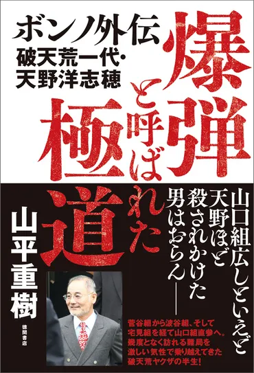 実録小説 神戸芸能社 山口組・田岡一雄三代目と戦後芸能界 