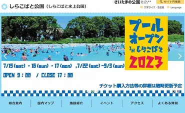 県営プールでの「水着撮影会」は適切か 一律中止要請でネット炎上→知事が撤回求める騒動に：東京新聞 TOKYO Web