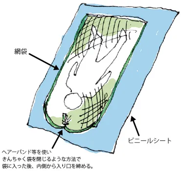 トコジラミ（南京虫・ベッドバグ）対策シート パーフェクトブロックの作り方【海外旅行】 – タミオーニュースtamioonews