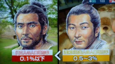 縄文人と弥生人の顔 : ひもろぎ逍遥